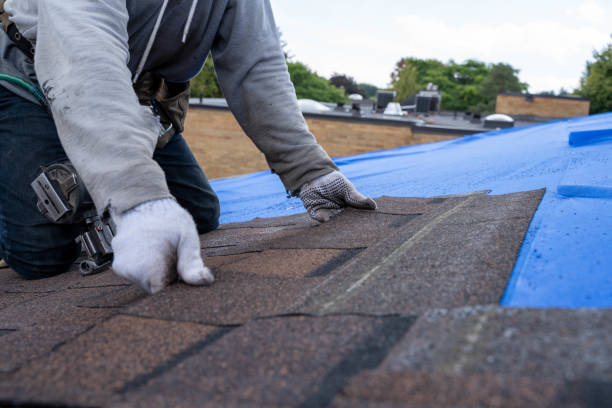Best Storm Damage Roof Repair  in Damascus, MD